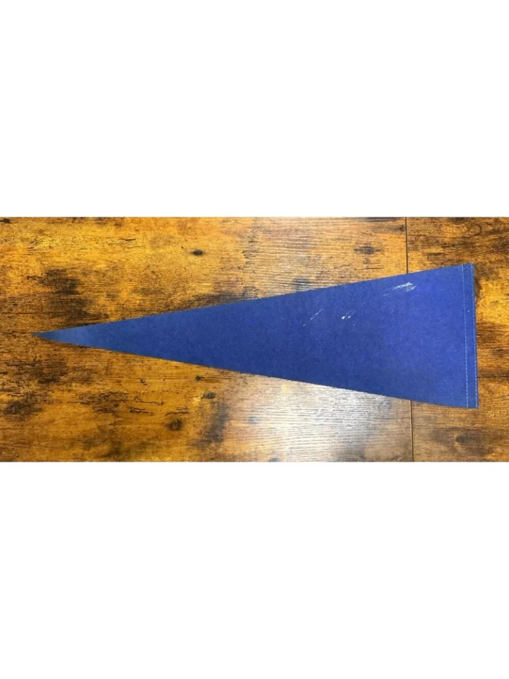 Vintage Detroit Zoo pennant